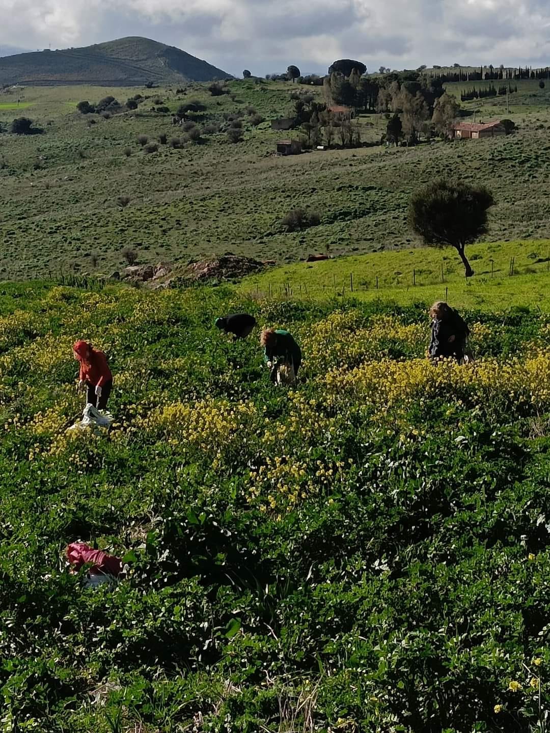 Festa delle verdure a Isnello